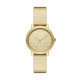 Watch DKNY STAINLESS STEEL NY6670