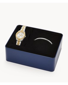 Fossil STAINLESS STEEL ES5253SET