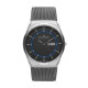 Skagen Stainless Steel Mesh SKW6078 Watch