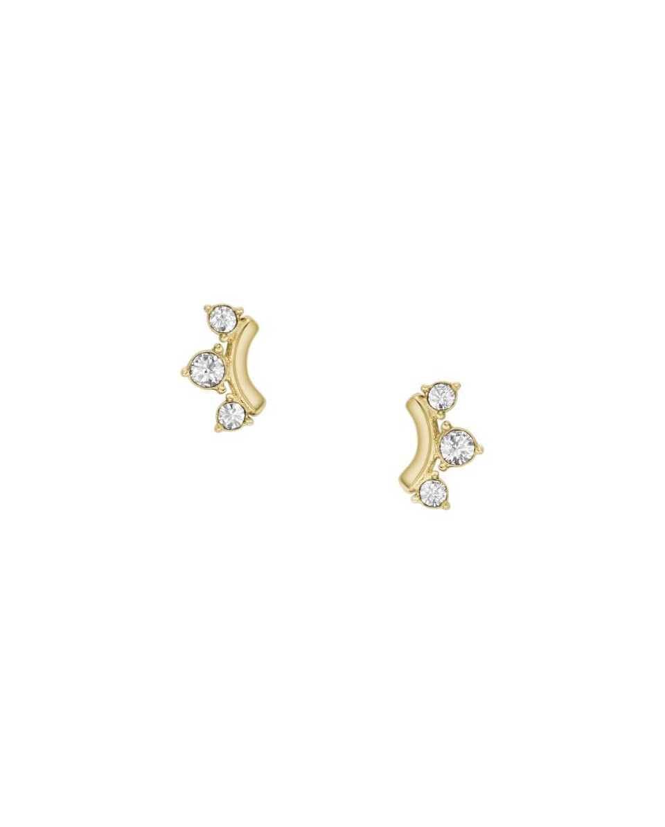 Fossil Boucle d oreille STAINLESS STEEL JF04596710 - TicTacArea