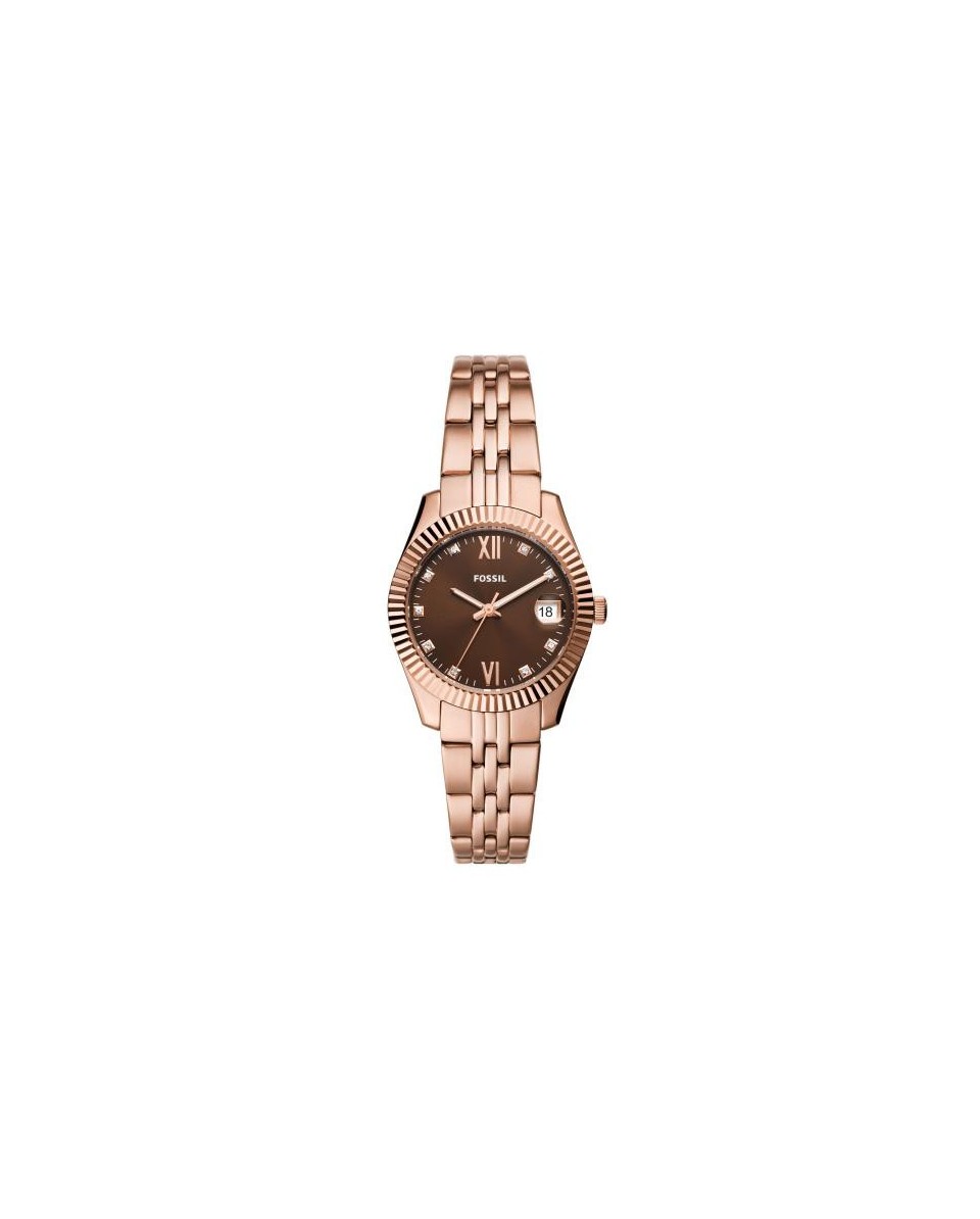 Watch Fossil STAINLESS STEEL ES5324