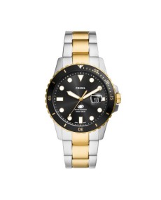 Watch Fossil STAINLESS STEEL FS6031