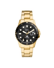 Watch Fossil STAINLESS STEEL FS6035