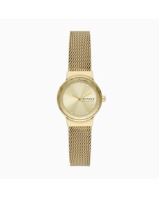 Skagen Stainless Steel Mesh SKW3110 Watch