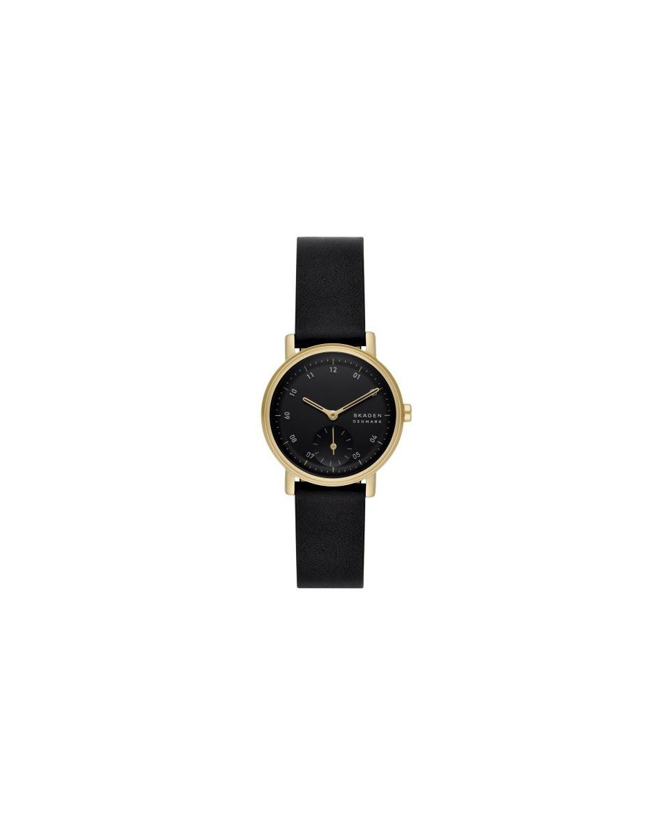 Relógio Skagen LEATHER SKW3114: elegância e sofisticação