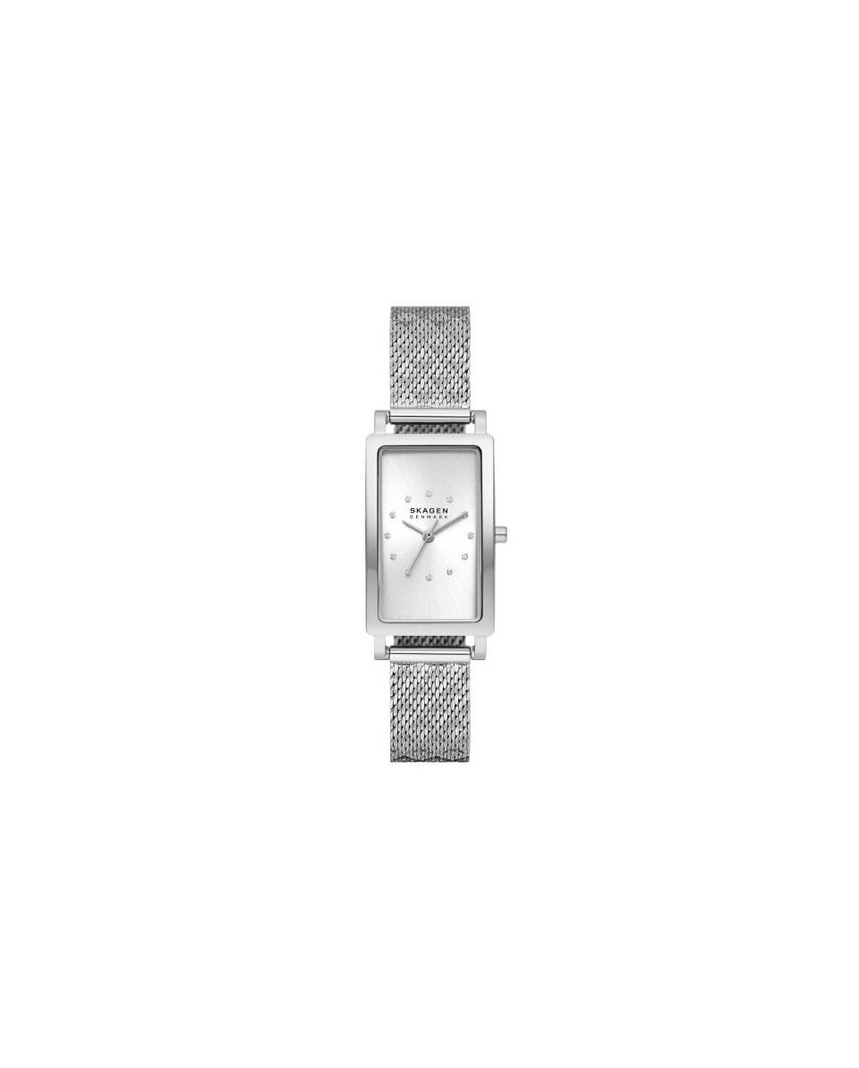 Skagen Stainless Steel Mesh SKW3115 Watch