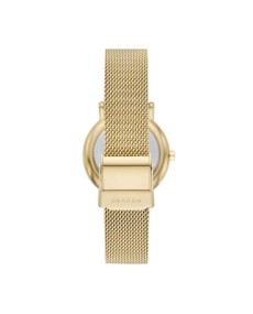 Skagen Stainless Steel Mesh SKW3117 Watch