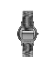 Skagen Stainless Steel Mesh SKW3118 Watch