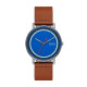 часы Skagen LEATHER SKW6899