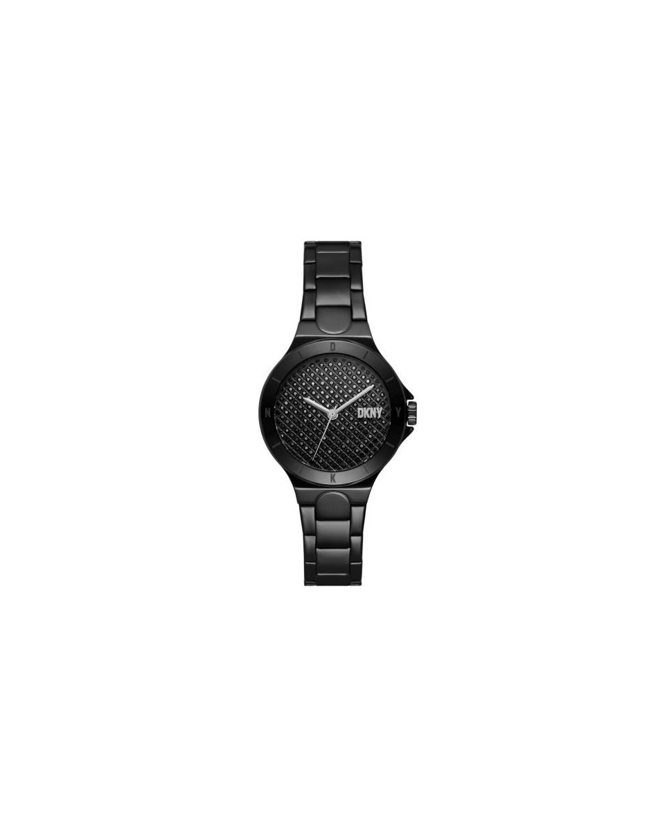 Watch DKNY STAINLESS STEEL NY6668