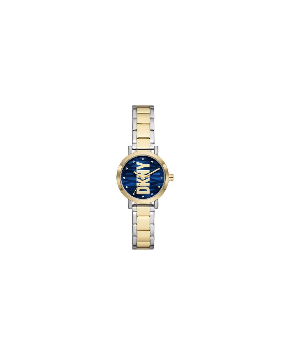 Watch DKNY STAINLESS STEEL NY6671