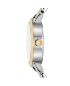 Watch DKNY STAINLESS STEEL NY6671