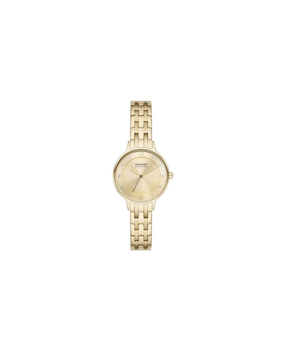 Skagen Stainless Steel SKW3127 Watch - TicTacArea