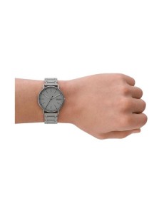 Kaufen Uhr Skagen STAINLESS STEEL SKW6913