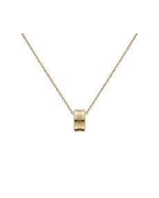 Daniel Wellington Necklace ELAN DW00400515