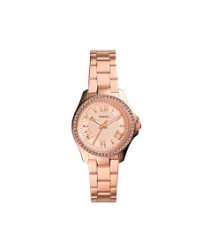 Fossil AM4578 Bracelet pour Montre Fossil  AM4578