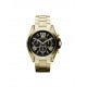 Michael Kors MK5739 Armbander für Uhr Michael Kors  MK5739