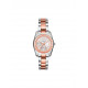 Michael Kors MK6196 Bracelete do Relogio Michael Kors  MK6196