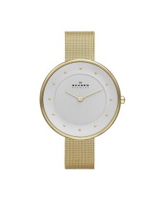 Skagen SKW2141 Bracelete do Relogio Skagen  SKW2141