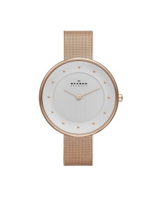 Skagen SKW2142 Correa para Reloj Skagen  SKW2142