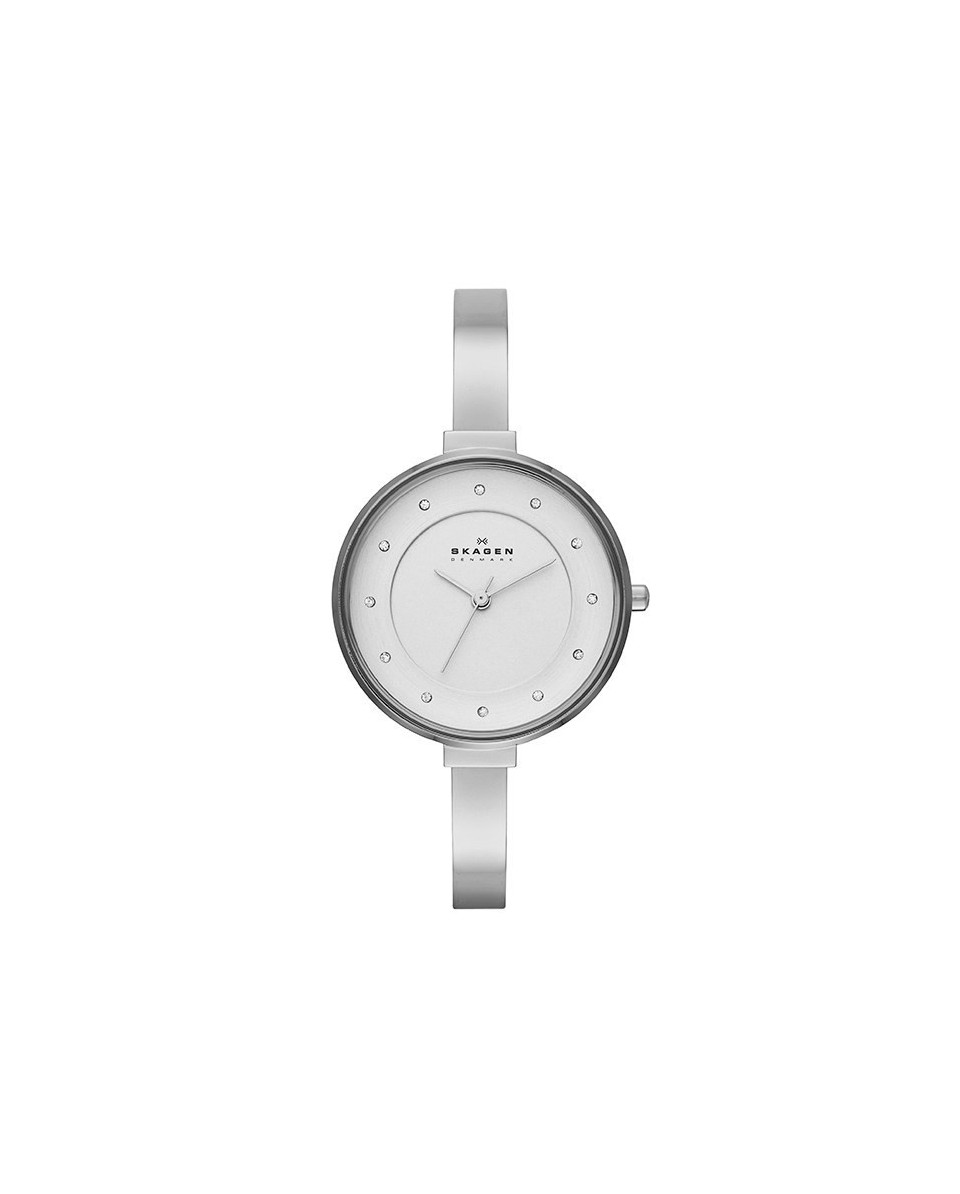 Skagen SKW2228 Bracelete do Relogio Skagen  SKW2228