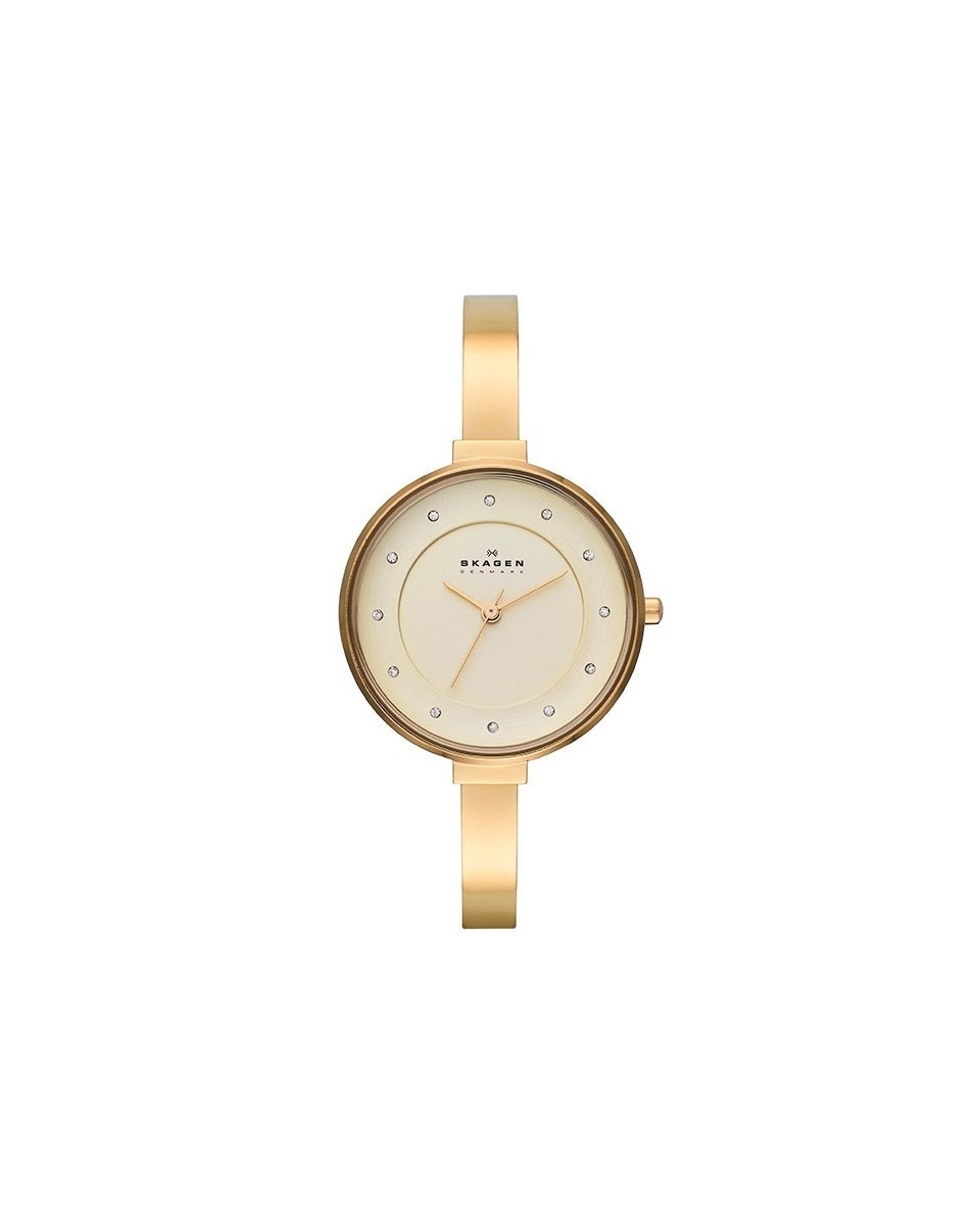 Skagen SKW2229 Bracelete do Relogio Skagen  SKW2229