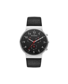 Skagen SKW6100 Strap for Skagen Watch  SKW6100