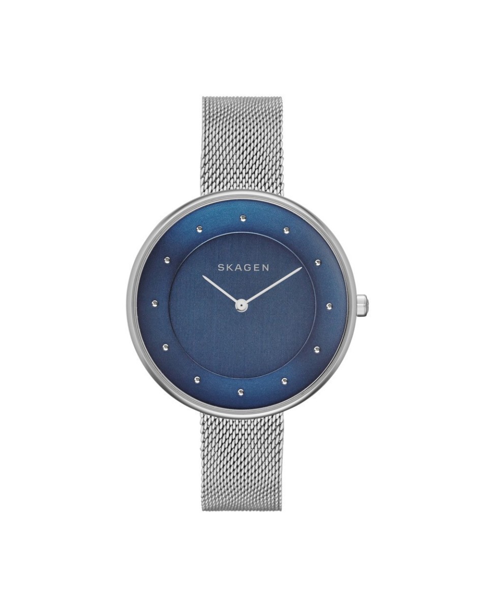 Correa Skagen SKW2293 para el Reloj Skagen  SKW2293