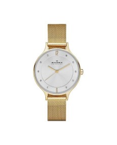 Bracelete Skagen SKW2150 para o Skagen  SKW2150