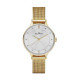 Correa Skagen SKW2150 para el Reloj Skagen  SKW2150