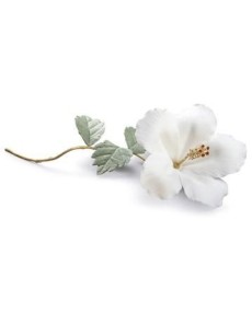 Lladro 01017969 HIBISCUS Porcelaine Lladro - TicTacArea