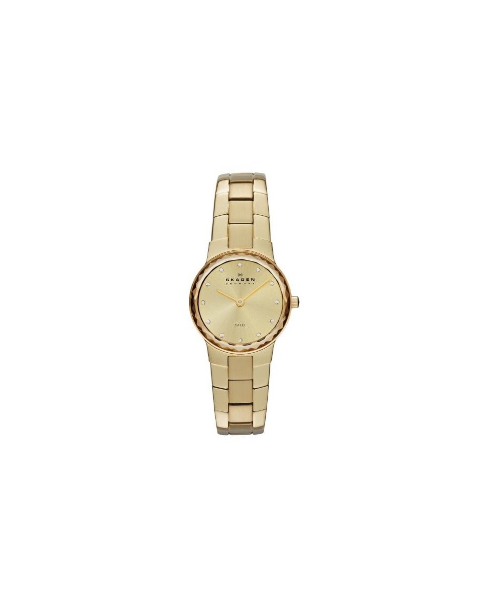 Skagen Correa para Reloj Skagen STINE SKW2073