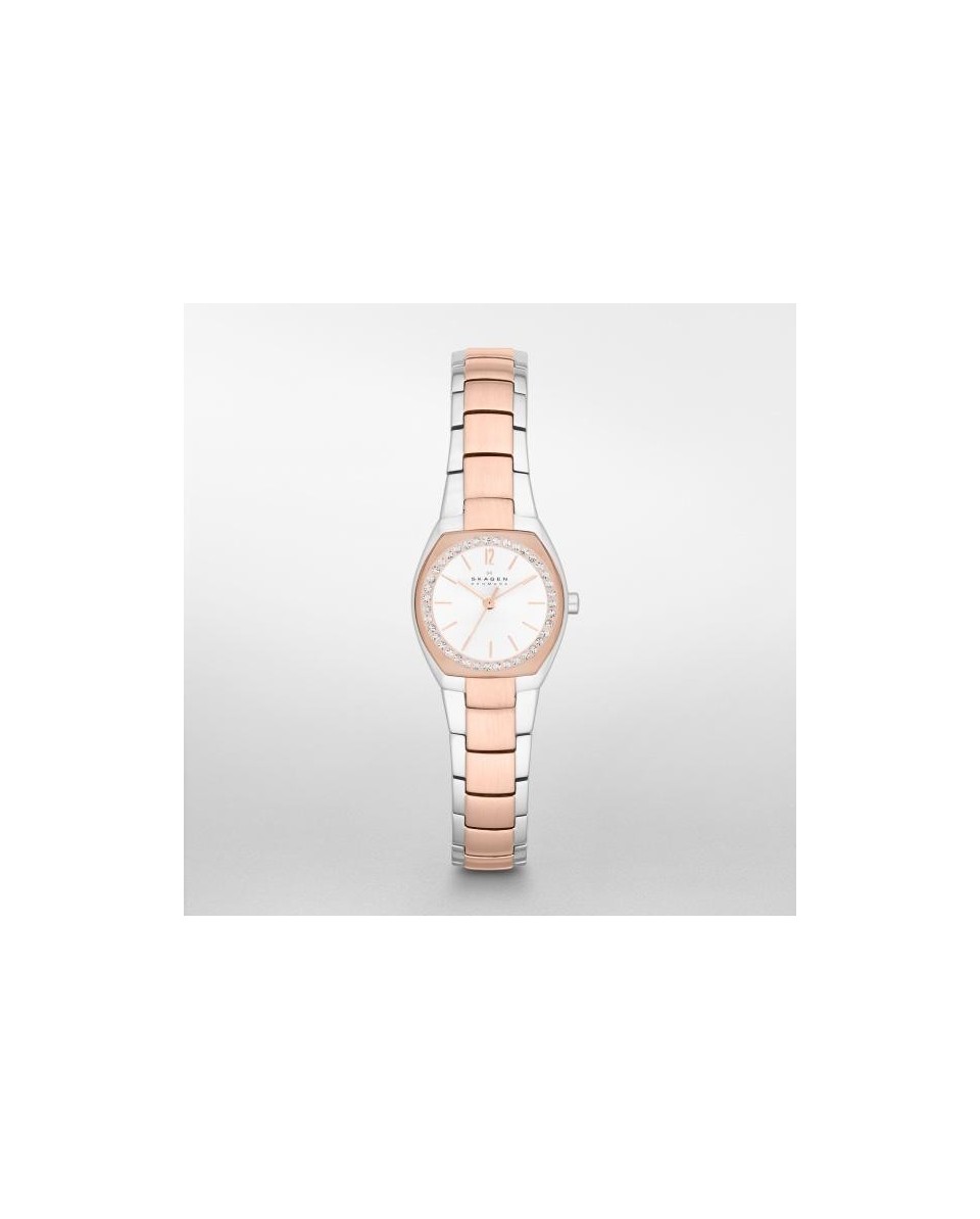 Skagen Armbander für Uhr Skagen ASTA SKW2112