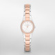 Skagen Bracelete do Relogio Skagen ASTA SKW2112