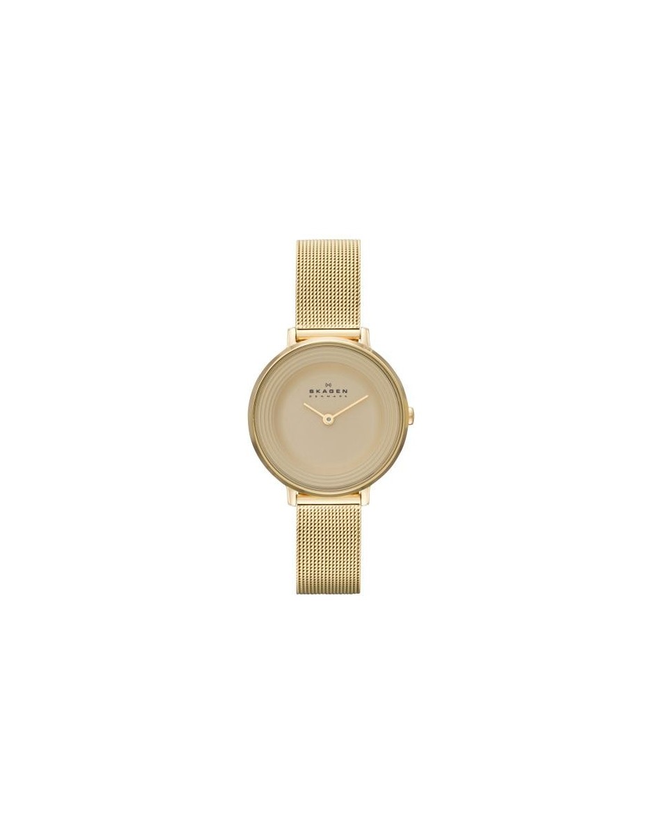 Skagen Armbander für Uhr Skagen DITTE SKW2212