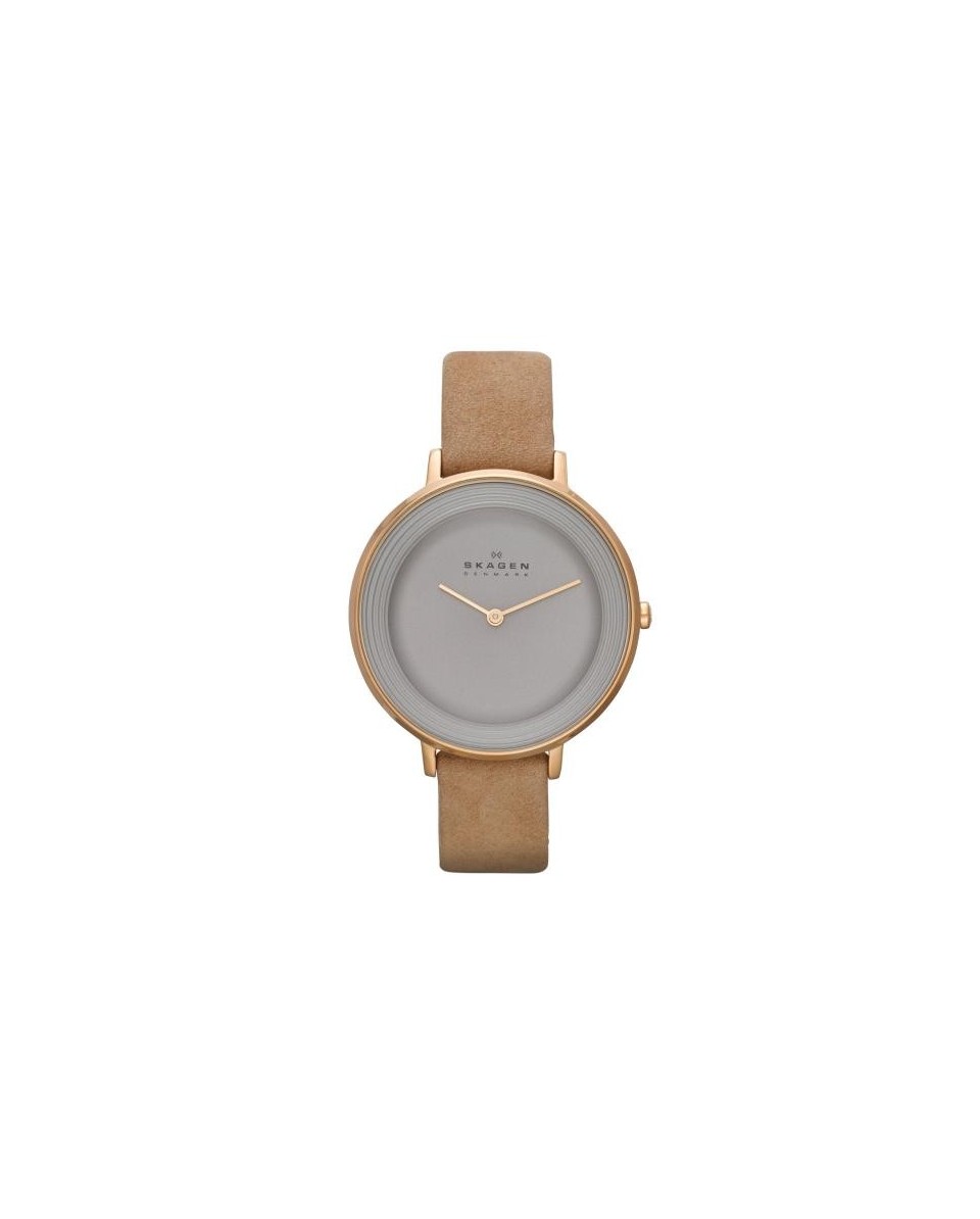 Skagen Bracelet pour Montre Skagen DITTE SKW2215