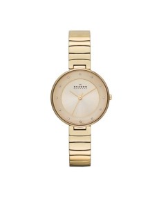 Skagen Armbander für Uhr Skagen GITTE SKW2226