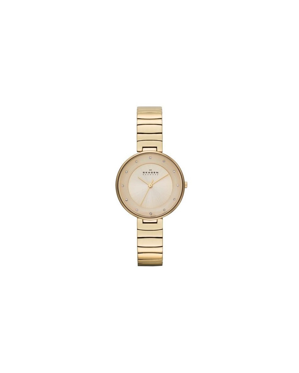 Skagen ремешок для часы Skagen GITTE SKW2226