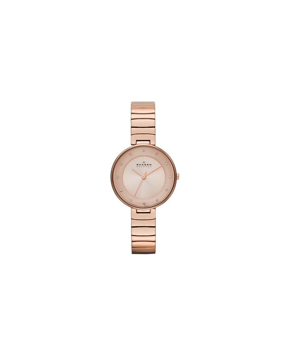 Skagen Armbander für Uhr Skagen GITTE SKW2227