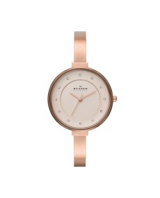 Skagen Armbander für Uhr Skagen GITTE SKW2230