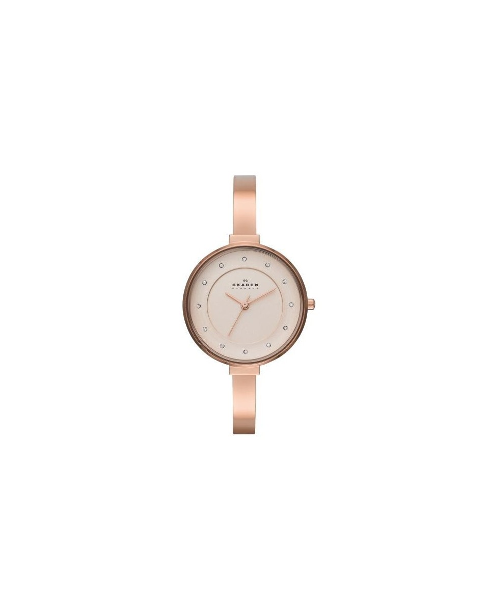 Skagen Armbander für Uhr Skagen GITTE SKW2230