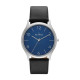 Skagen Cinturino da Orologio Skagen JORN SKW6151