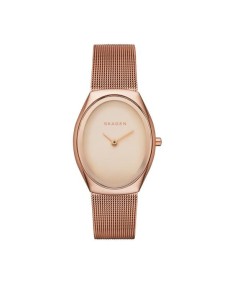 Skagen Correa para Reloj Skagen MADSEN SKW2299