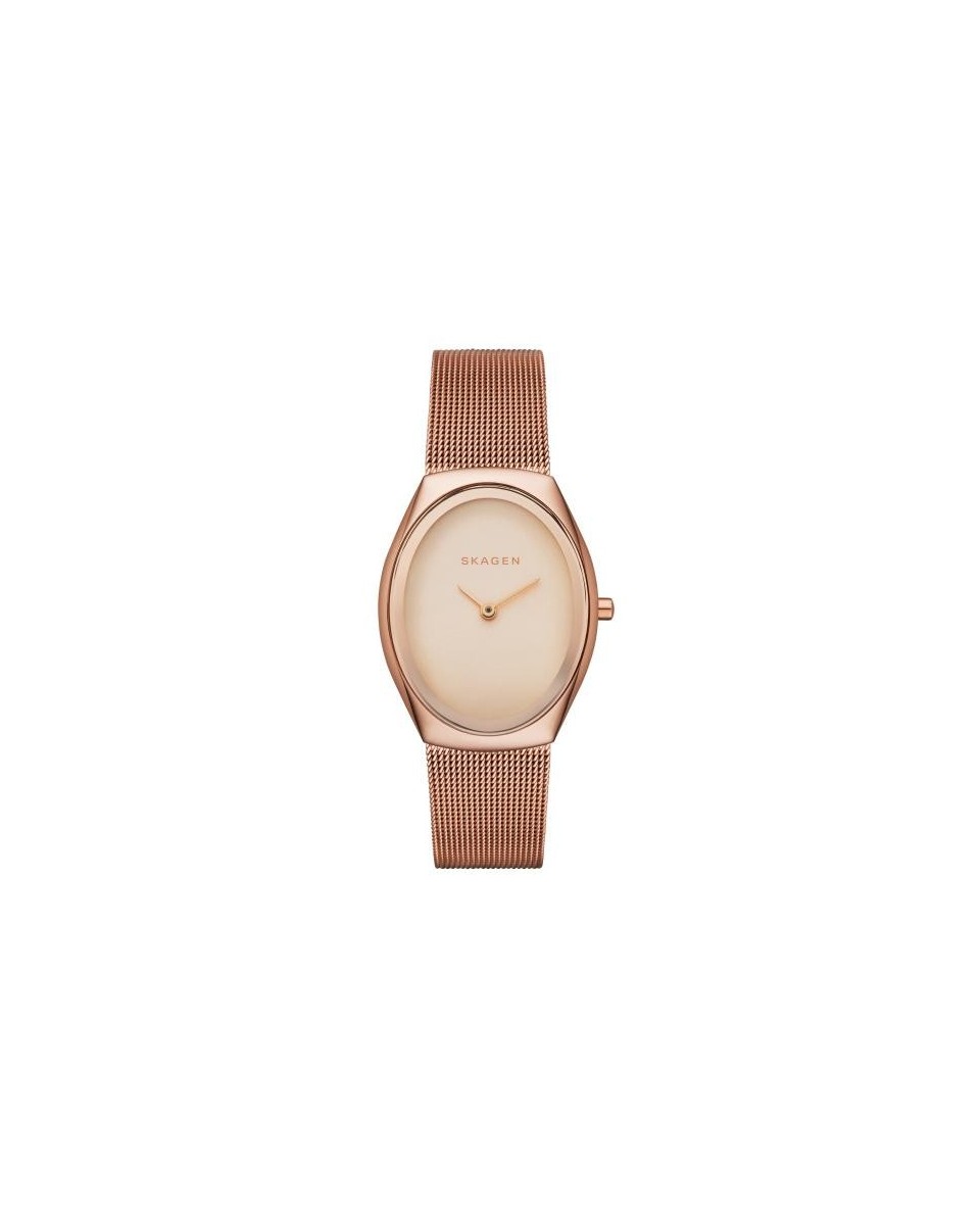 Skagen Correa para Reloj Skagen MADSEN SKW2298