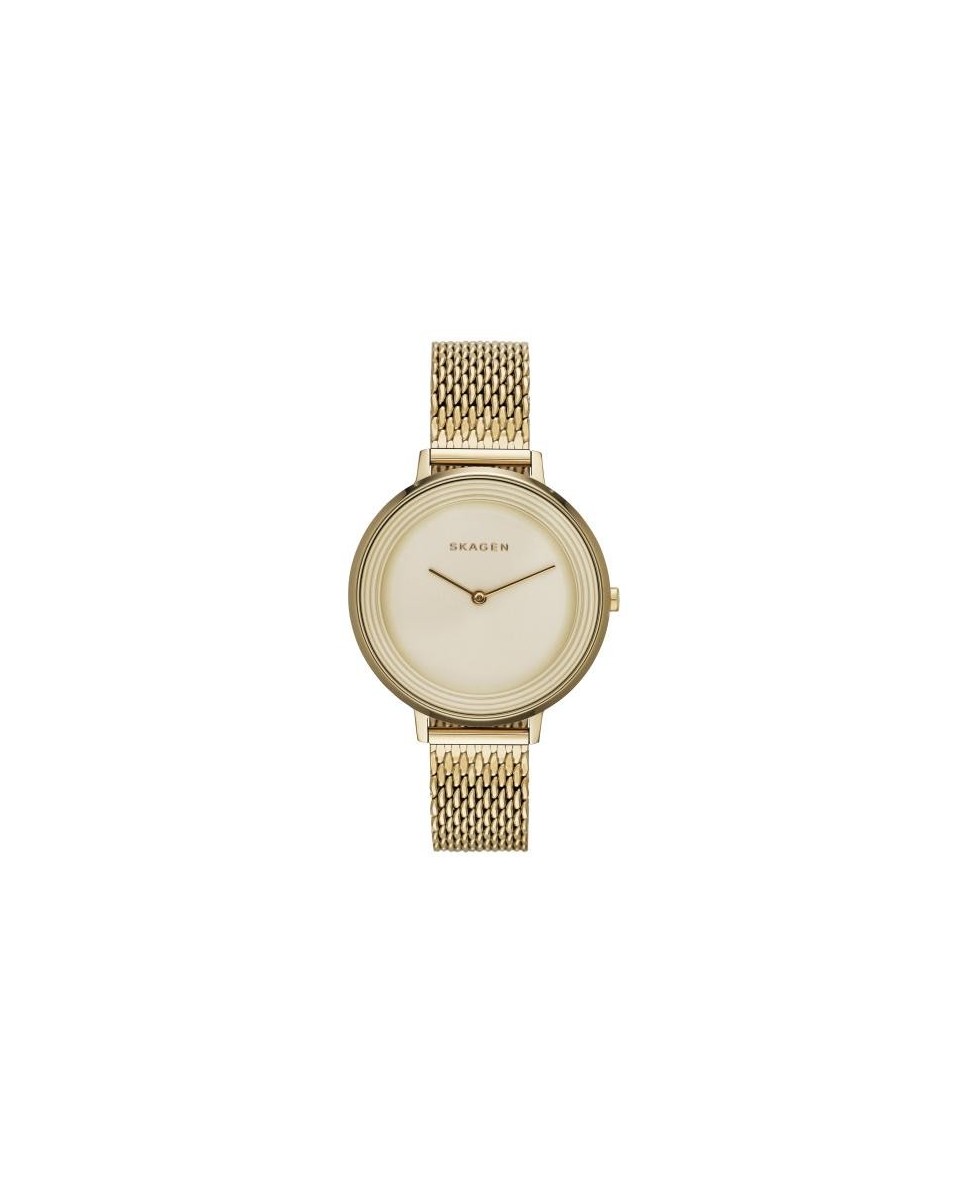 Skagen Armbander für Uhr Skagen DITTE SKW2333