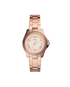 Fossil Armbander für Uhr Fossil CECILE AM4611