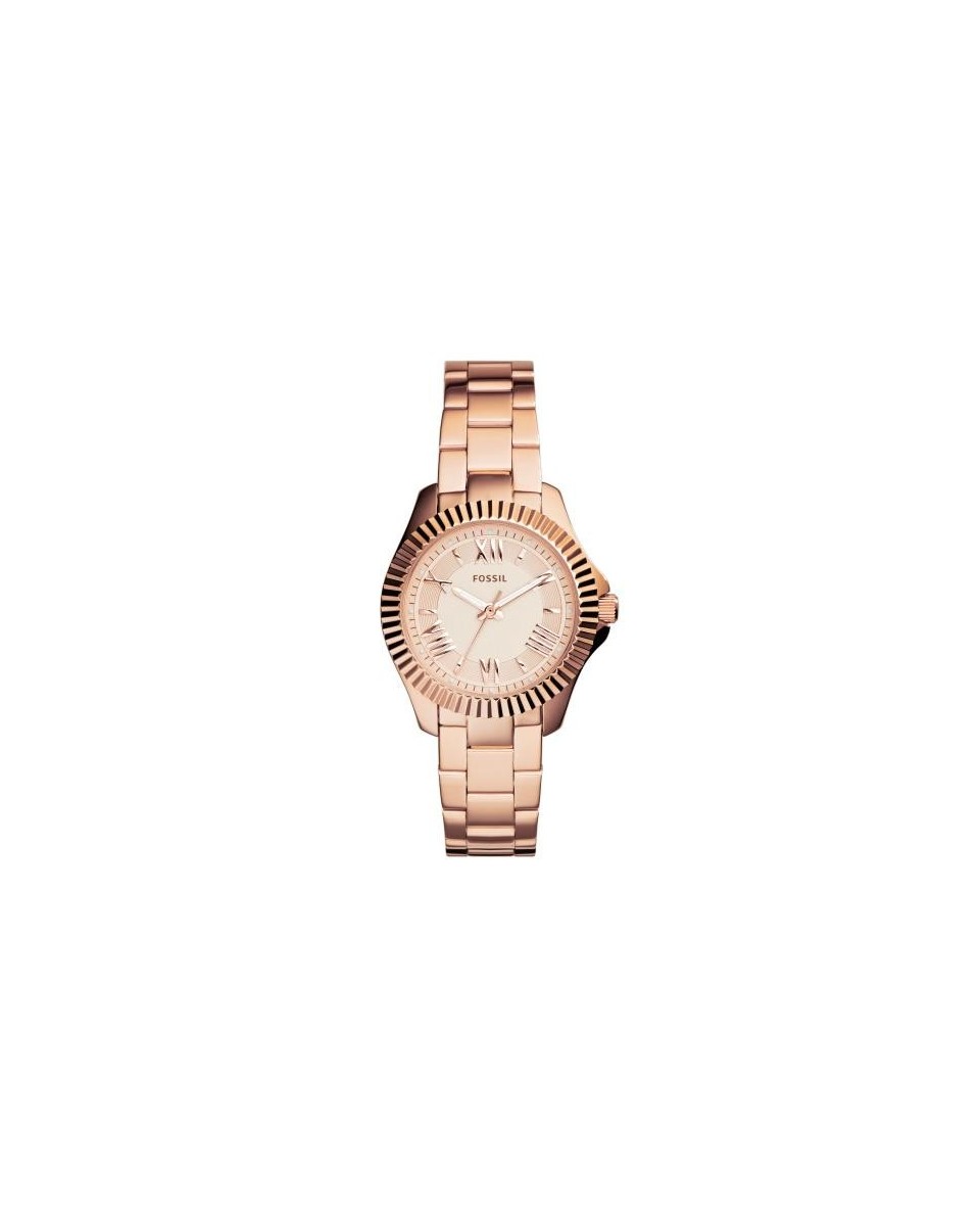 Fossil Bracelet pour Montre Fossil CECILE AM4611