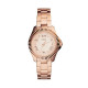 Fossil Bracelete do Relogio Fossil CECILE AM4611