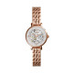 Fossil Cinturino da Orologio Fossil JACQUELINE SMALL ME3072