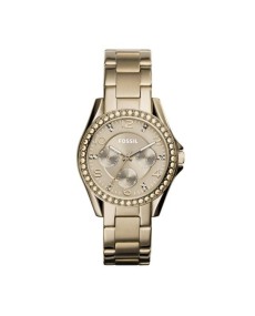 Fossil Bracelet pour Montre Fossil RILEY ES3824